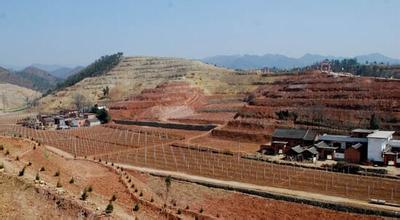 热血传奇1.76我本沉默