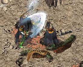 ʢ����װ����ȫ�۸�