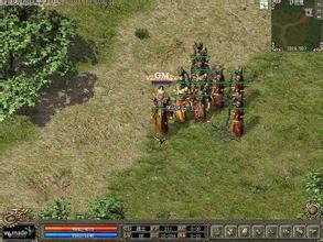 ��Ѫ�������ι������