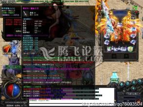 盛大传奇极品装备