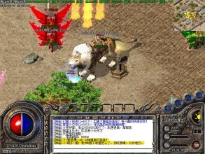 �¿���ʧ���������վ