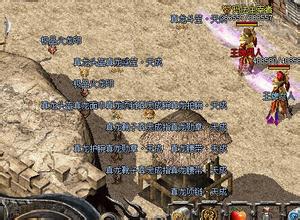 2003���Ŵ�������˽��