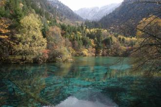 ��Ѫ����157��Ӣ������