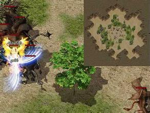 ��Ѫ����1.76������