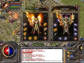 �Ϲϴ����������