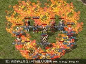 �¿���̬��������