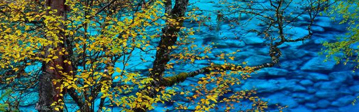 ������Ѫ����װ��ͼƬ