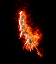 ���´����������