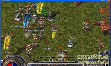 ���´�����ʲô��Ϻ�