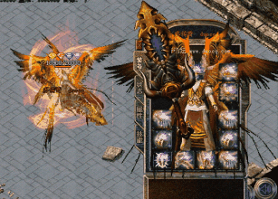 �������ڱ�̬����