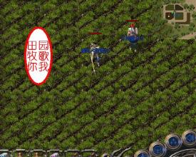 ��Ѫ����1.76��ʦ����