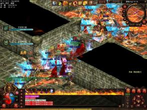 �����¿�������̬����