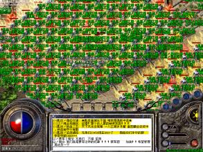 �����ҵ��ë2��3